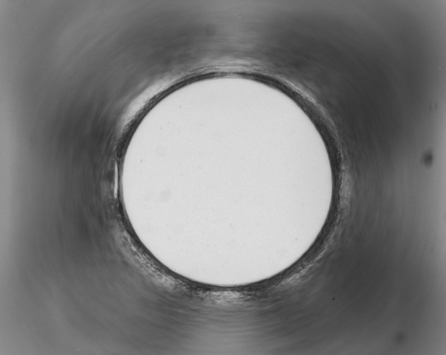 X0000115011317200912071155