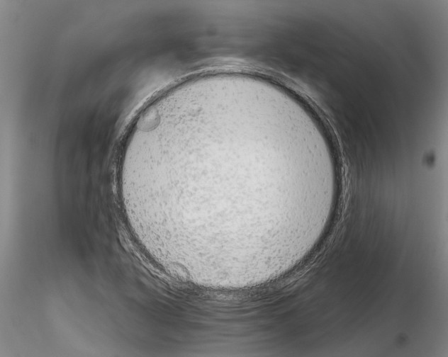 X0000115011318200912071155