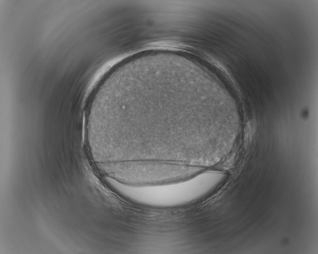 X0000115011323200912071155