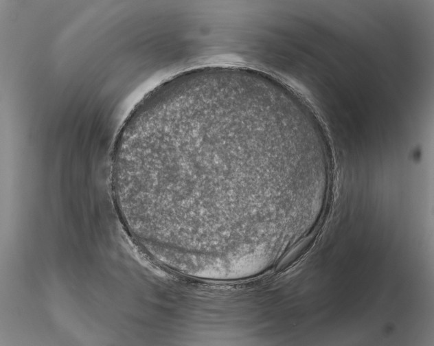 X0000115011326200912071155