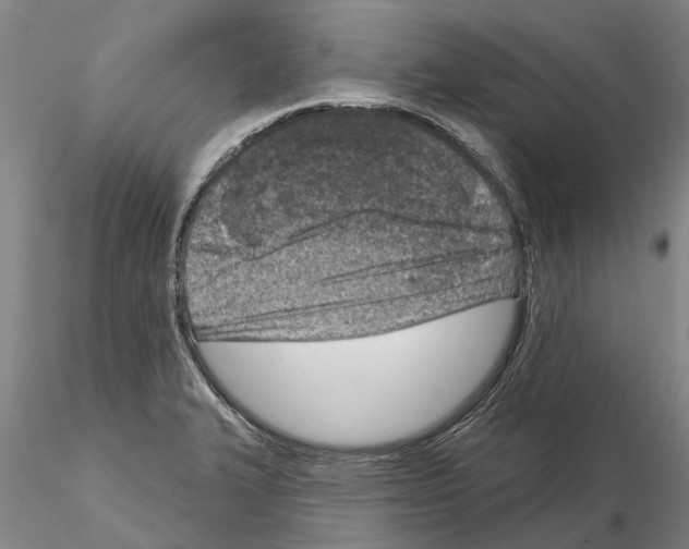 X0000115011327200912071155
