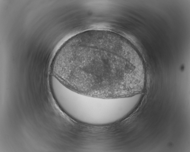 X0000115011331200912071155