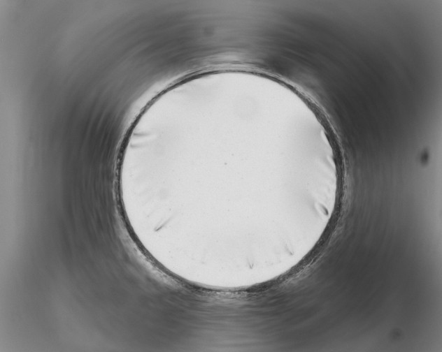 X0000115011333200912071155