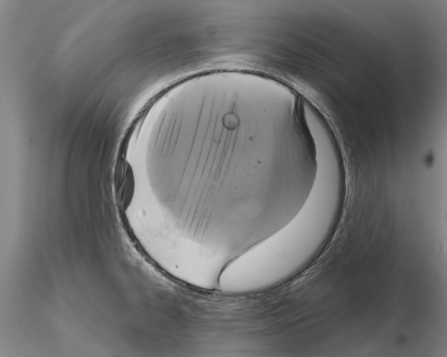 X0000115011334200912071155