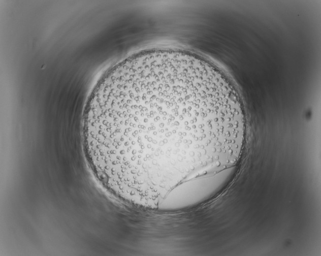 X0000115011335200912071155