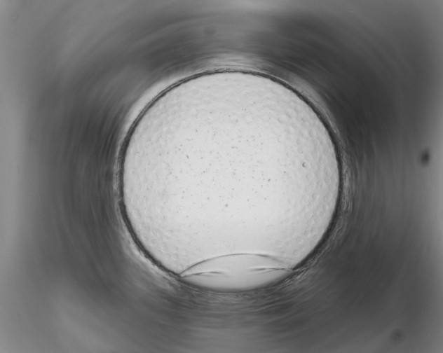 X0000115011339200912071155