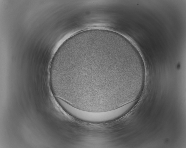 X0000115011341200912071155