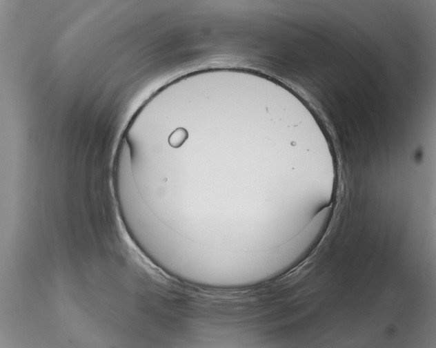 X0000115011342200912071155