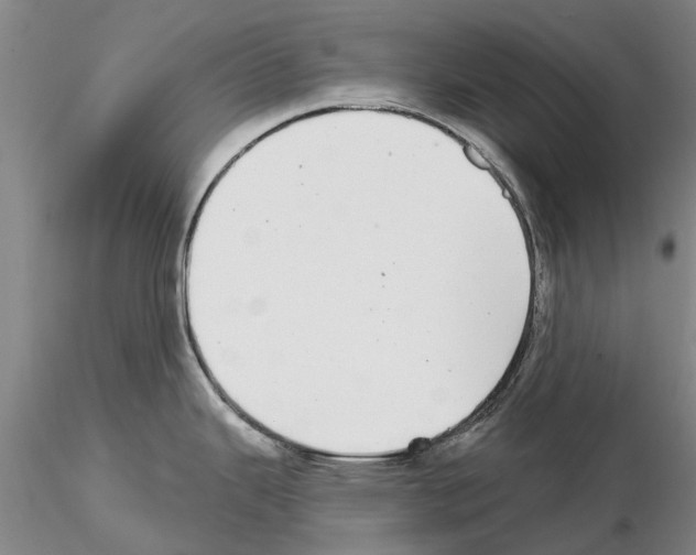 X0000115011343200912071155