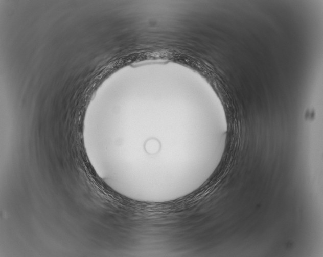 X0000115011345200912071155