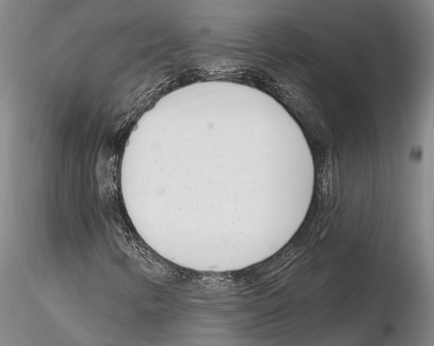 X0000115011346200912071155