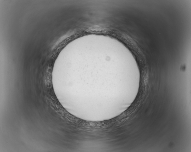 X0000115011350200912071155