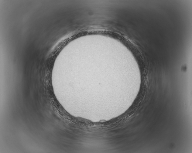 X0000115011351200912071154