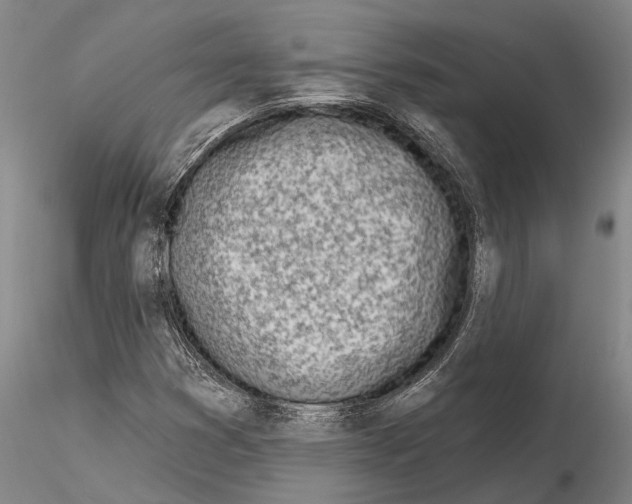 X0000115011353200912071154