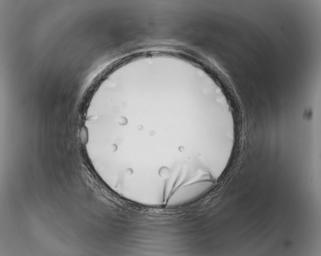 X0000115011360200912071154