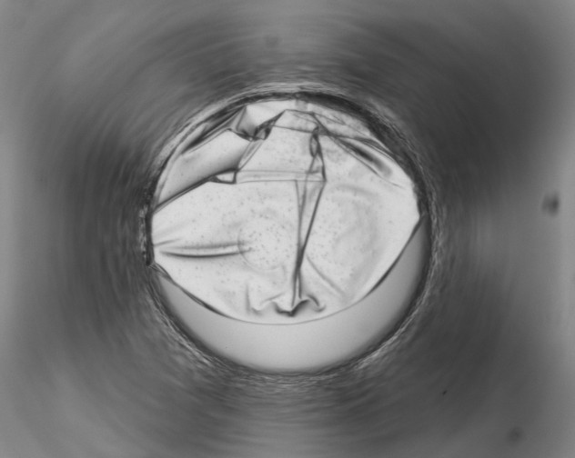 X0000115011361200912071154