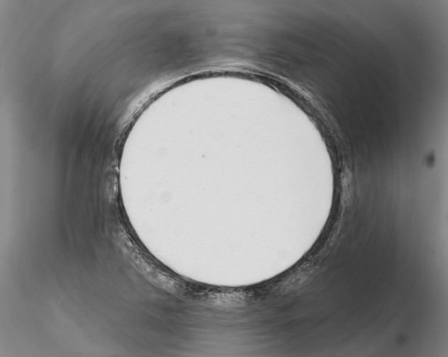 X0000115011363200912071154