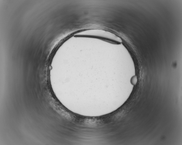 X0000115011364200912071154