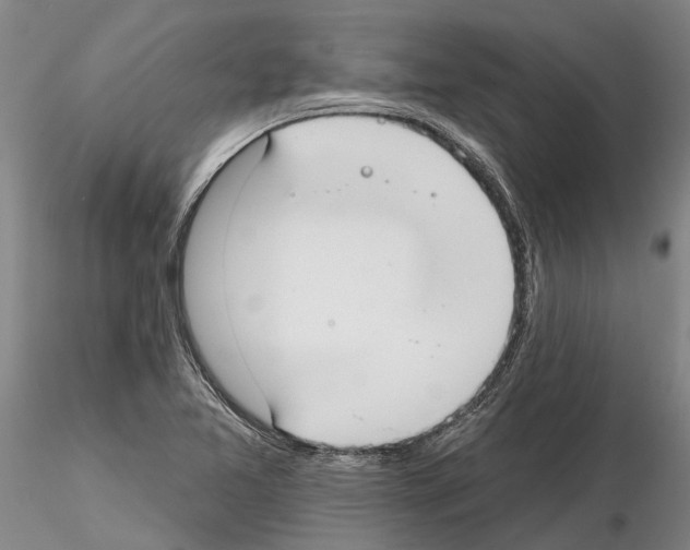 X0000115011365200912071154
