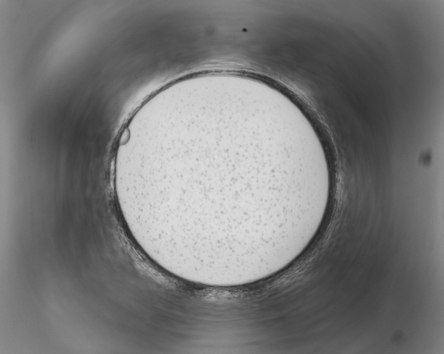 X0000115011366200912071154