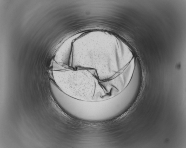 X0000115011369200912071154