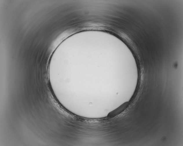 X0000115011370200912071154