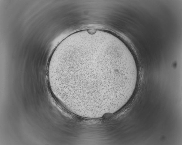 X0000115011373200912071154