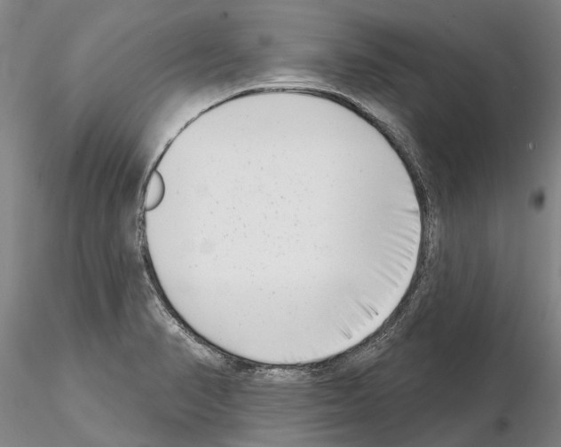 X0000115011374200912071154