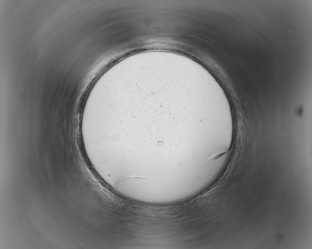 X0000115011376200912071154