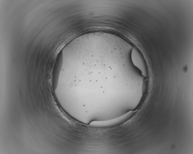X0000115011377200912071154