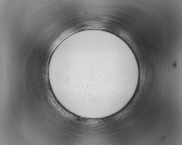 X0000115011378200912071154