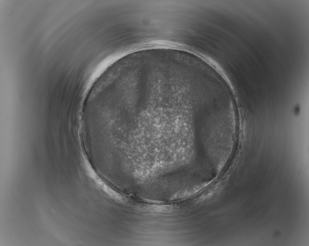 X0000115011381200912071154