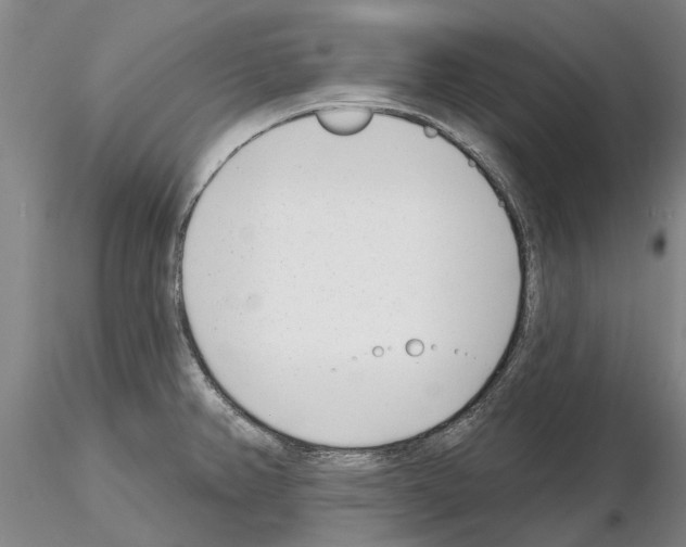 X0000115011382200912071154