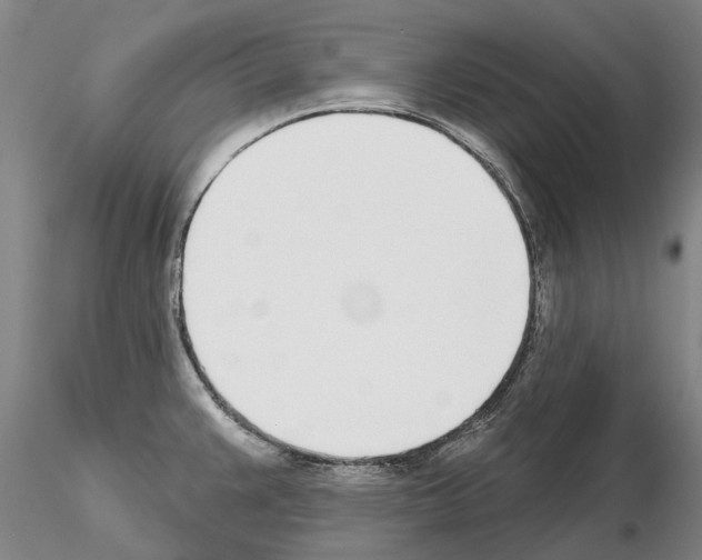 X0000115011383200912071154