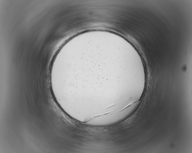 X0000115011384200912071154