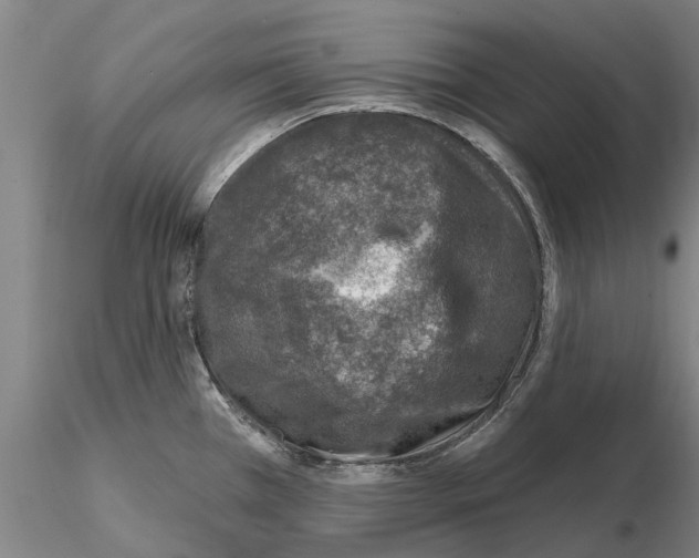 X0000115011385200912071154