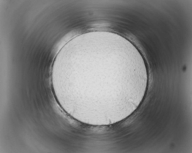 X0000115011386200912071154