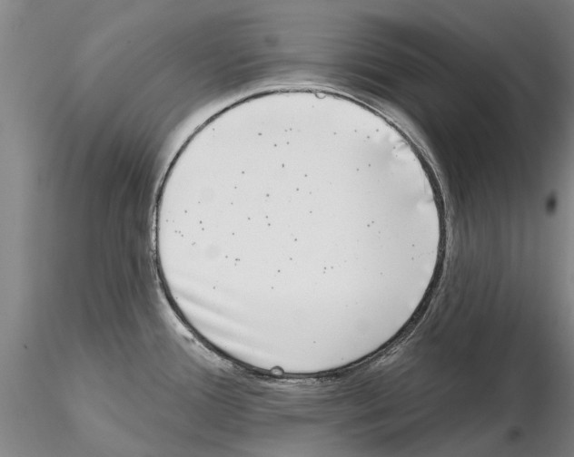 X0000115011388200912071154