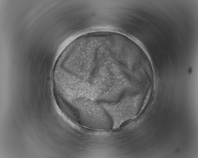 X0000115011389200912071154