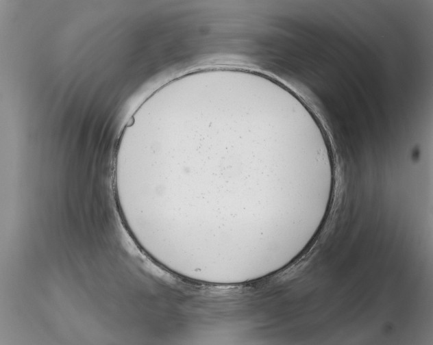 X0000115011390200912071154