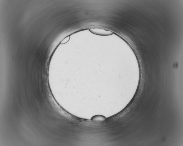 X0000115011392200912071154