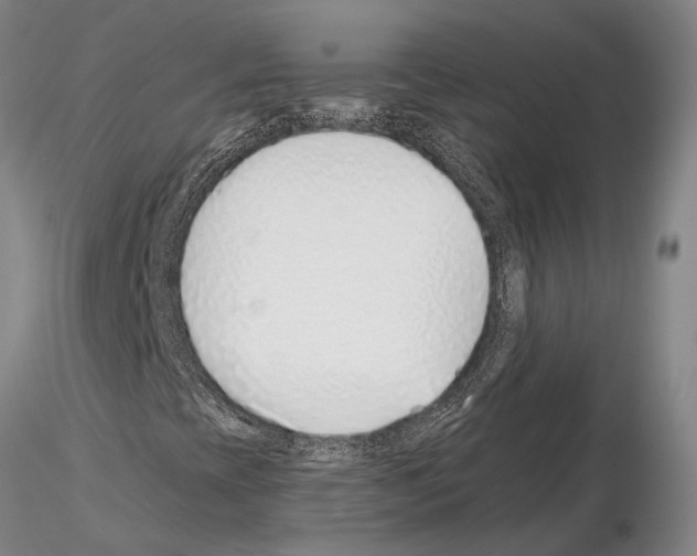 X0000115011393200912071153