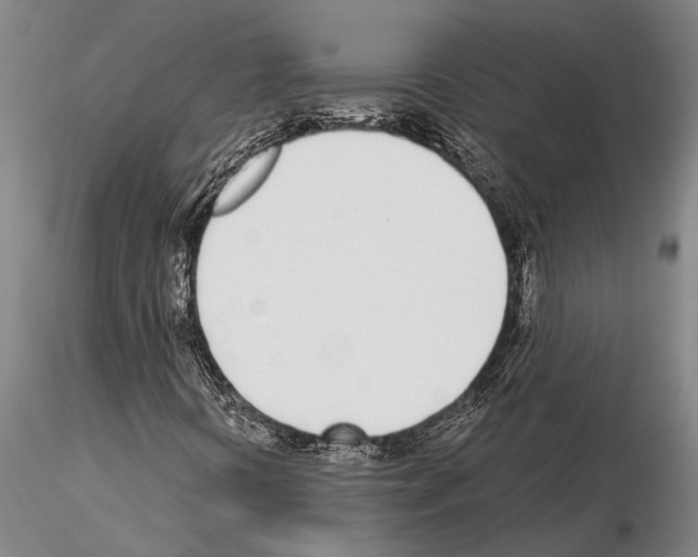 X0000115011394200912071153