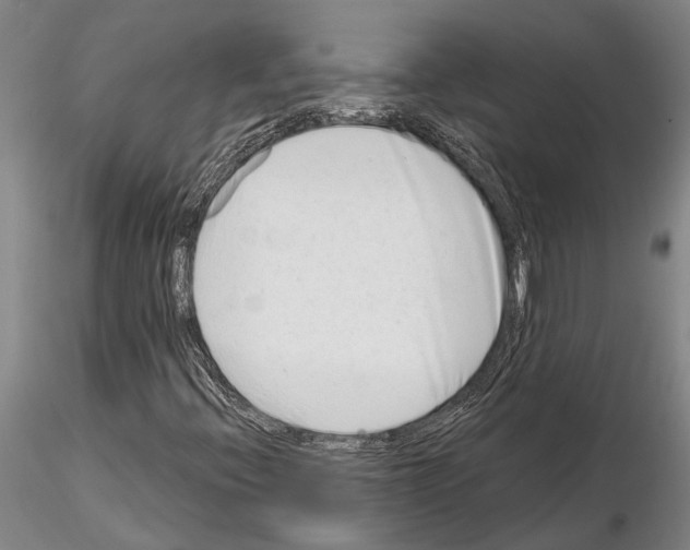 X0000115011396200912071153