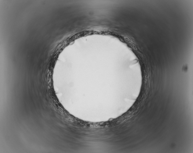 X0000115011398200912071153