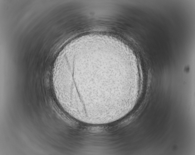 X0000115011401200912071153