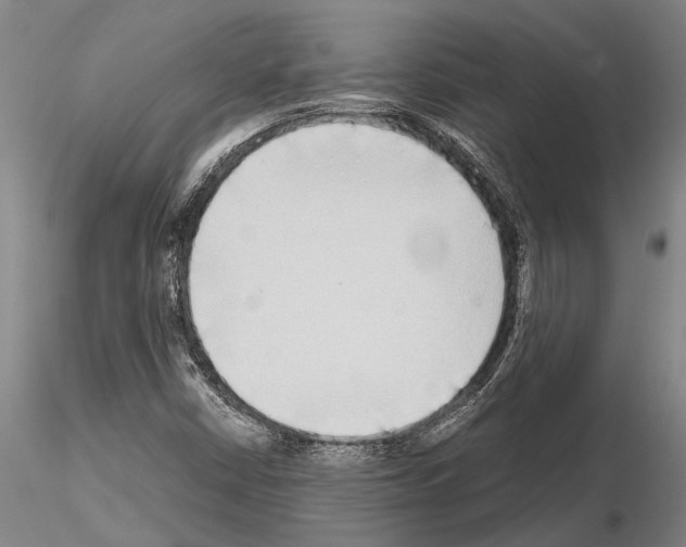 X0000115011402200912071153