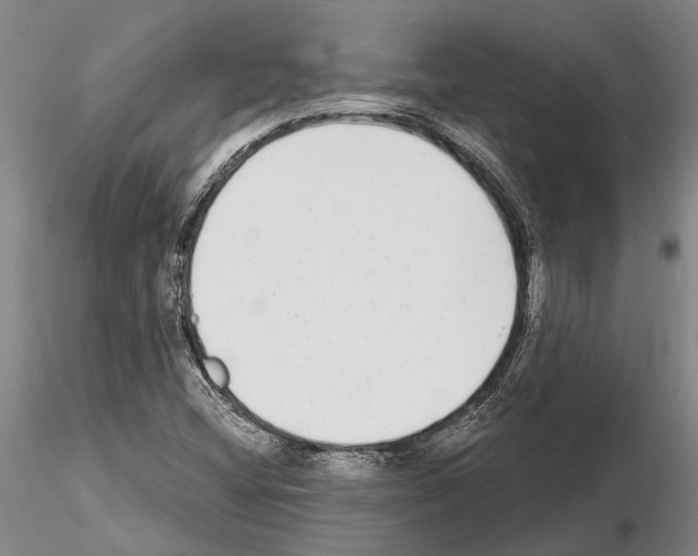 X0000115011404200912071153