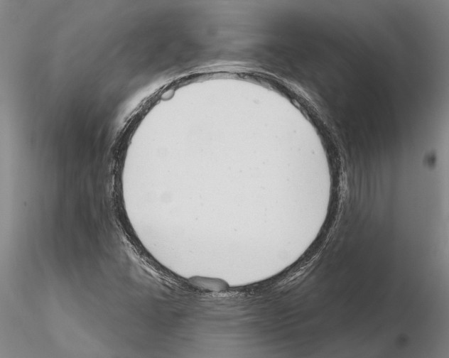 X0000115011406200912071153