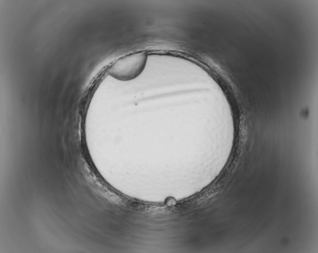 X0000115011408200912071153